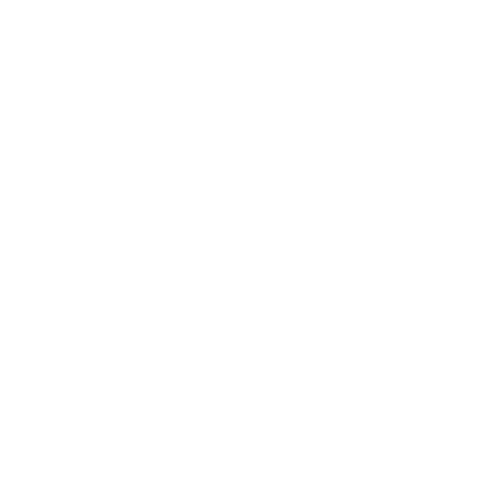 Caerula Partners Inc.